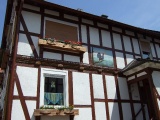 2011- 104.jpg